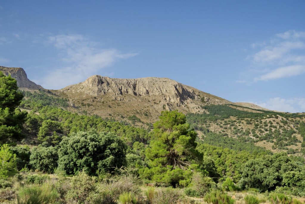Parque Natural Sierra de María