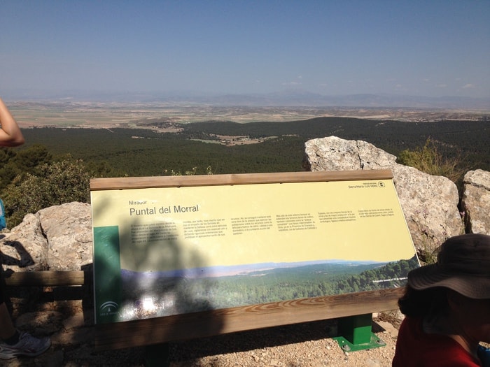 Pinar de la Alfahuara - wandelen Los Velez (1)
