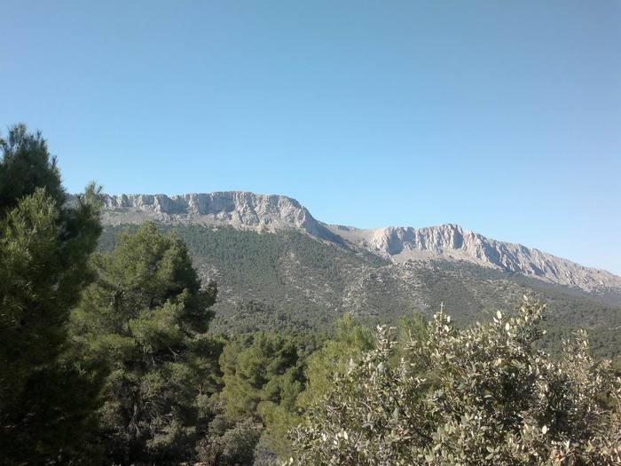 Pinar de la Alfahuara - wandelen Los Velez (2)