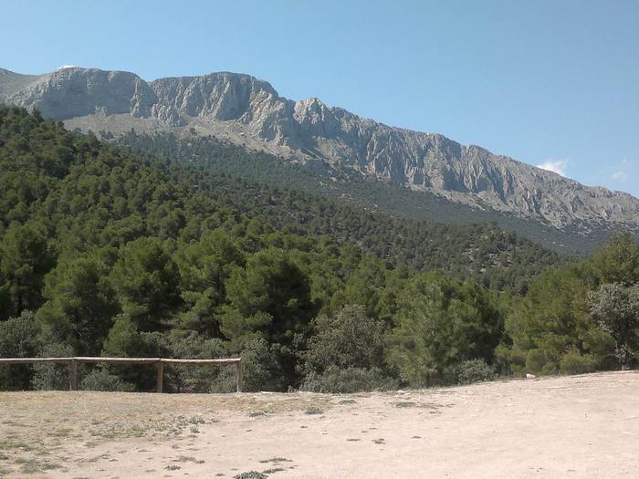 Pinar de la Alfahuara - wandelen Los Velez (6)